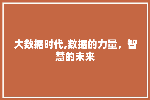 大数据时代,数据的力量，智慧的未来
