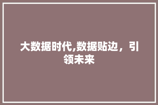 大数据时代,数据贴边，引领未来