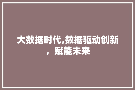 大数据时代,数据驱动创新，赋能未来