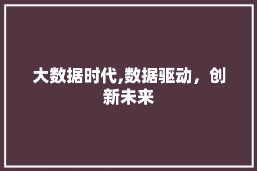大数据时代,数据驱动，创新未来