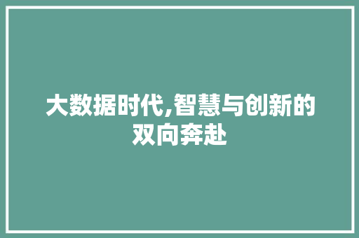 大数据时代,智慧与创新的双向奔赴
