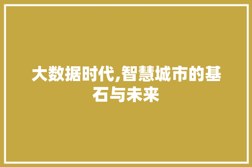 大数据时代,智慧城市的基石与未来