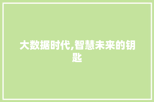大数据时代,智慧未来的钥匙