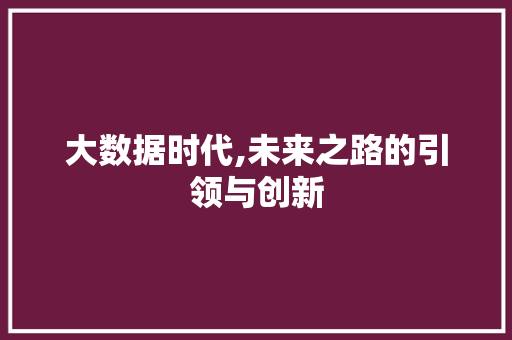 大数据时代,未来之路的引领与创新