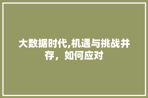 大数据时代,机遇与挑战并存，如何应对