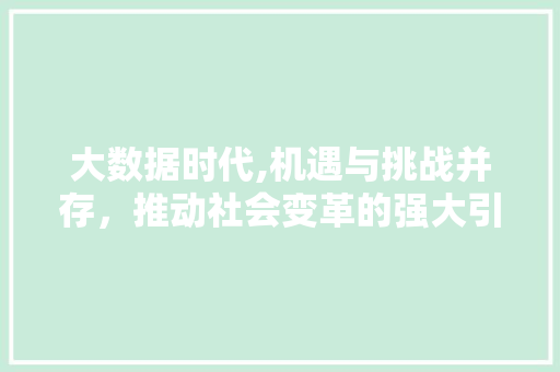 大数据时代,机遇与挑战并存，推动社会变革的强大引擎