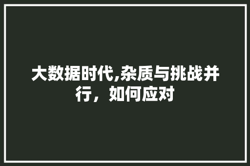 大数据时代,杂质与挑战并行，如何应对