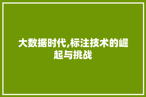 大数据时代,标注技术的崛起与挑战