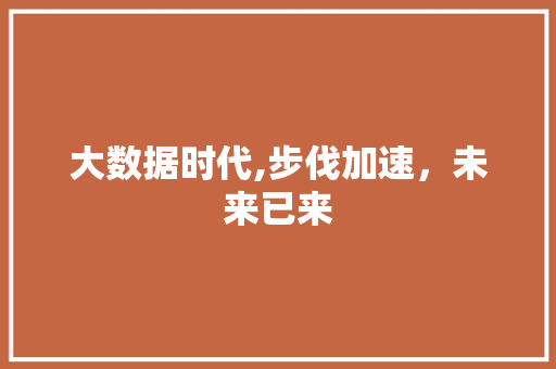 大数据时代,步伐加速，未来已来