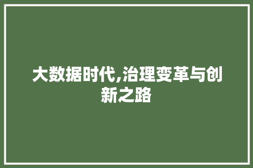 大数据时代,治理变革与创新之路