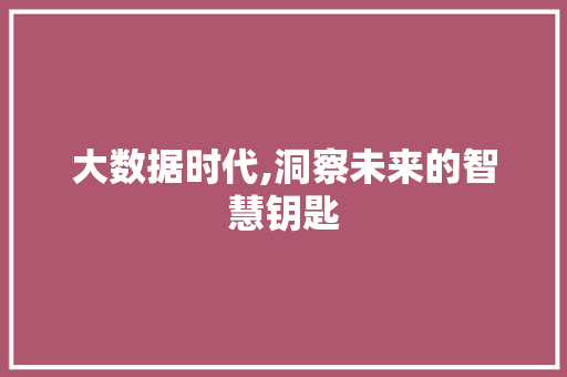大数据时代,洞察未来的智慧钥匙