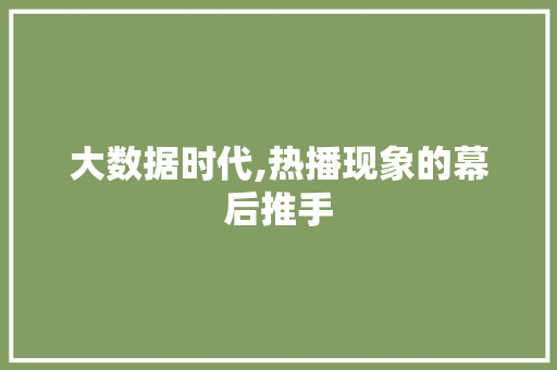 大数据时代,热播现象的幕后推手