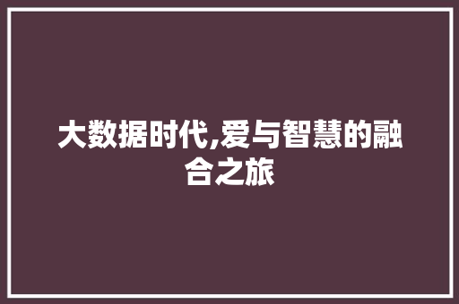 大数据时代,爱与智慧的融合之旅