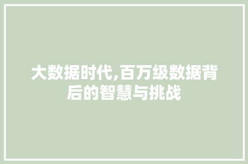 大数据时代,百万级数据背后的智慧与挑战