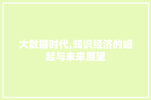 大数据时代,知识经济的崛起与未来展望