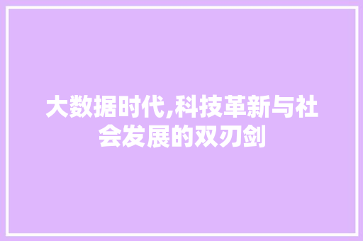 大数据时代,科技革新与社会发展的双刃剑