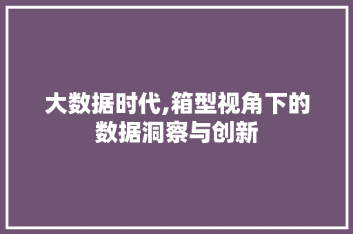 大数据时代,箱型视角下的数据洞察与创新