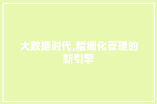 大数据时代,精细化管理的新引擎