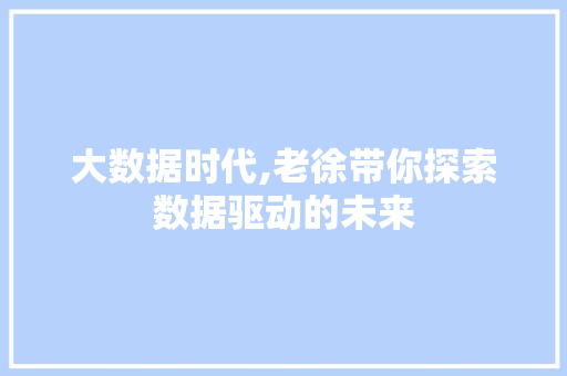 大数据时代,老徐带你探索数据驱动的未来