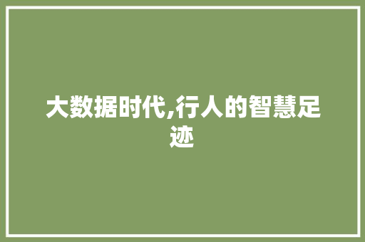 大数据时代,行人的智慧足迹