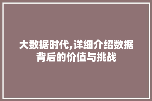 大数据时代,详细介绍数据背后的价值与挑战