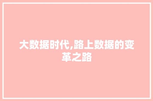 大数据时代,路上数据的变革之路