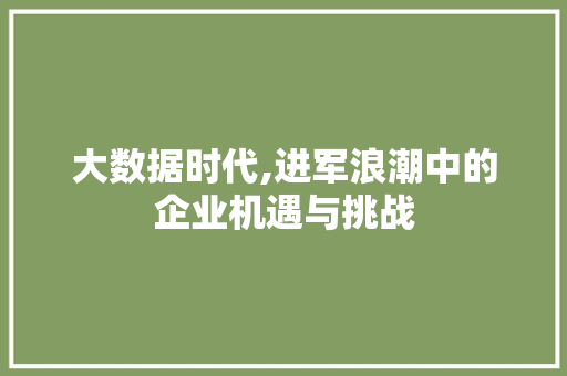 大数据时代,进军浪潮中的企业机遇与挑战