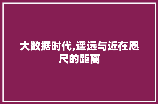 大数据时代,遥远与近在咫尺的距离