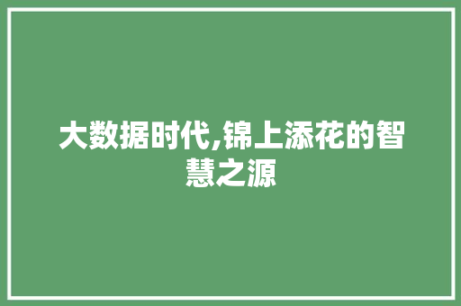 大数据时代,锦上添花的智慧之源