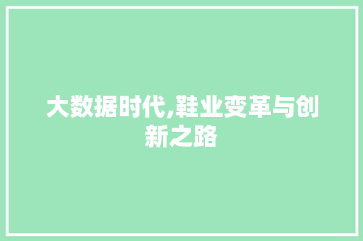 大数据时代,鞋业变革与创新之路