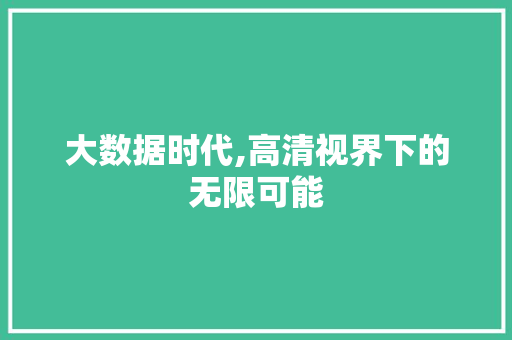 大数据时代,高清视界下的无限可能
