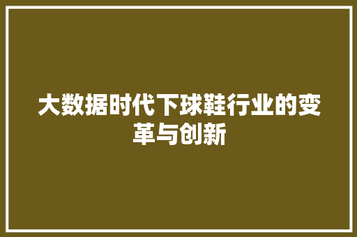 大数据时代下球鞋行业的变革与创新