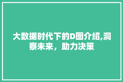 大数据时代下的D图介绍,洞察未来，助力决策