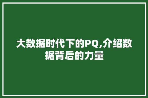 大数据时代下的PQ,介绍数据背后的力量