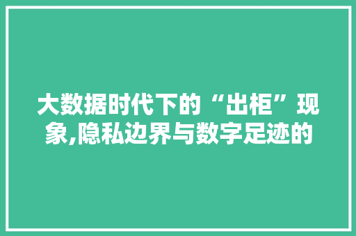 大数据时代下的“出柜”现象,隐私边界与数字足迹的交织