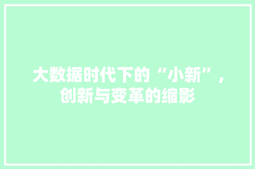 大数据时代下的“小新”,创新与变革的缩影