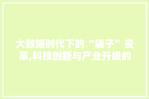 大数据时代下的“袋子”变革,科技创新与产业升级的交响曲