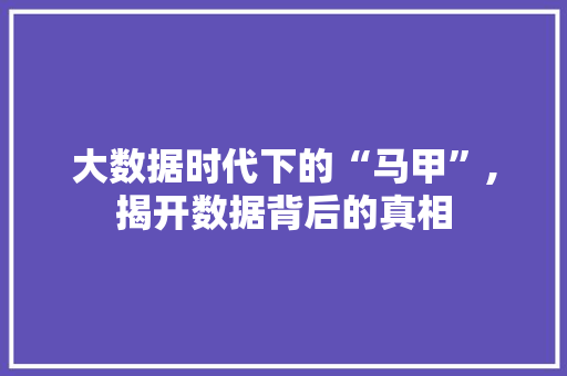 大数据时代下的“马甲”,揭开数据背后的真相