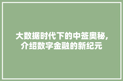 大数据时代下的中签奥秘,介绍数字金融的新纪元