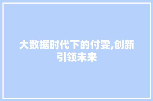 大数据时代下的付雯,创新引领未来