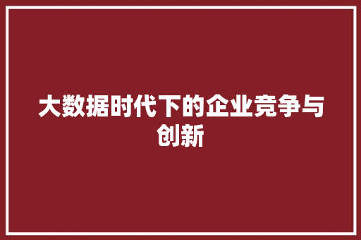 大数据时代下的企业竞争与创新