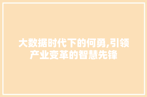 大数据时代下的何勇,引领产业变革的智慧先锋