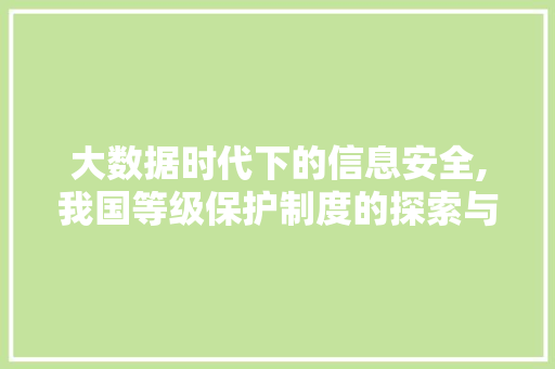 大数据时代下的信息安全,我国等级保护制度的探索与方法