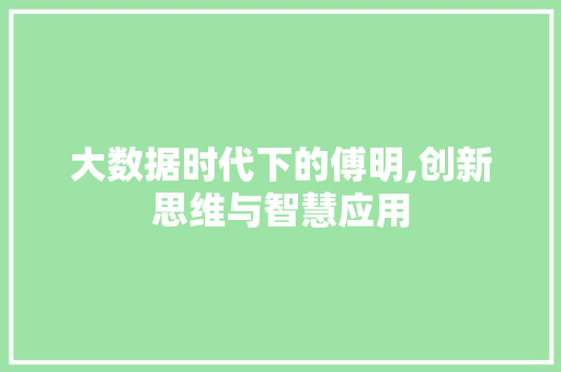 大数据时代下的傅明,创新思维与智慧应用