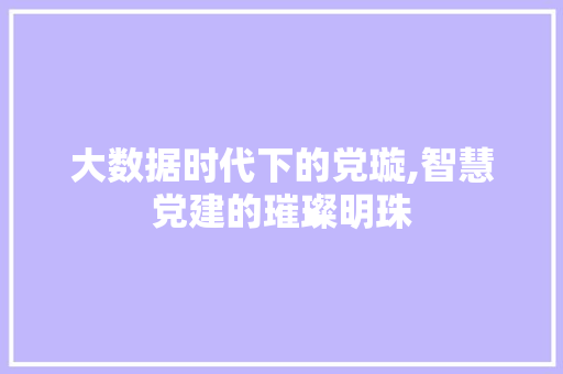 大数据时代下的党璇,智慧党建的璀璨明珠