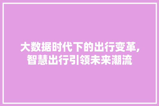 大数据时代下的出行变革,智慧出行引领未来潮流
