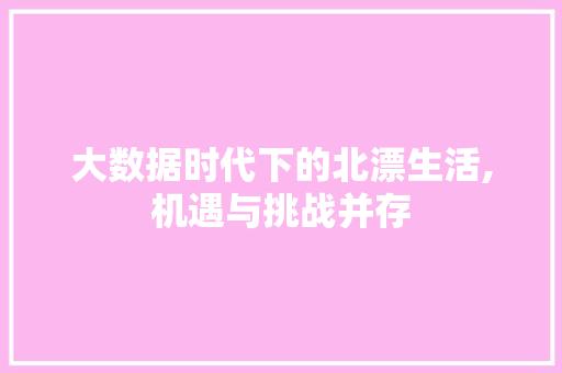 大数据时代下的北漂生活,机遇与挑战并存