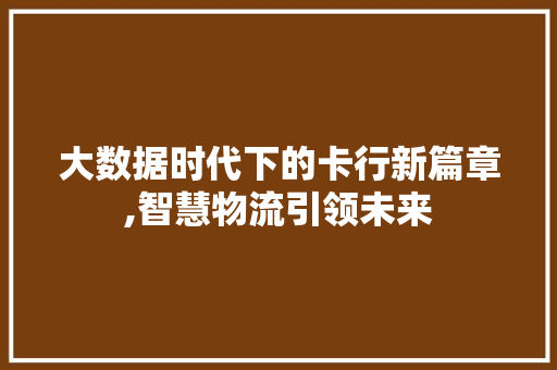 大数据时代下的卡行新篇章,智慧物流引领未来