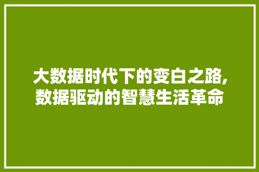 大数据时代下的变白之路,数据驱动的智慧生活革命