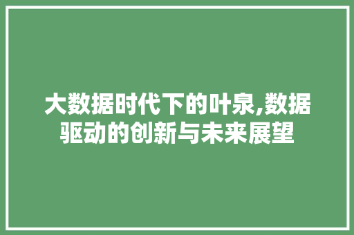 大数据时代下的叶泉,数据驱动的创新与未来展望